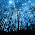 Somewhere between Darkness and Light